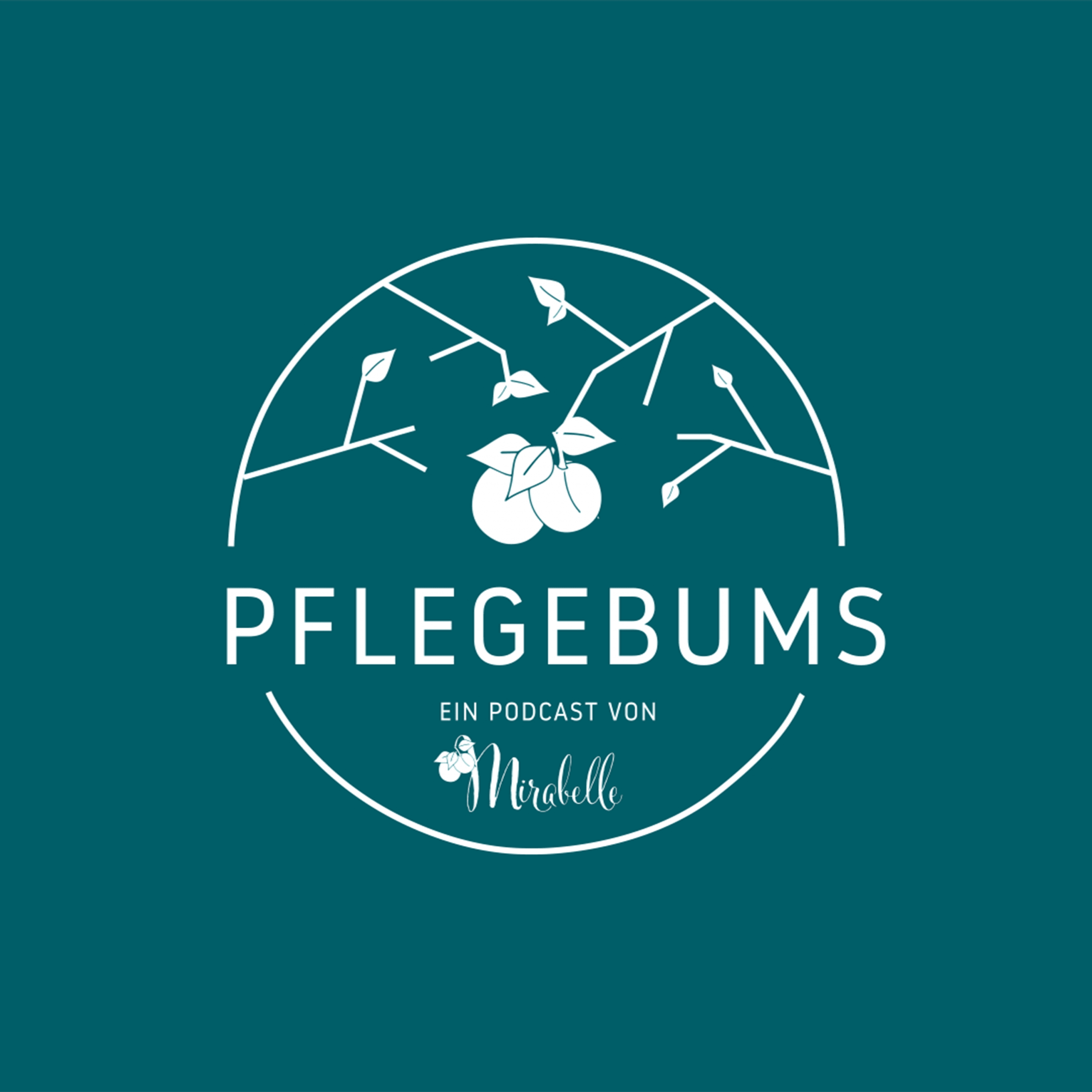 PflegebumsLogo